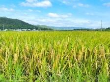 进度刷新！梅州蕉岭这些民生项目建设有新进展