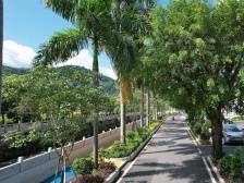 梅州兴宁市黄槐镇：“煤炭小镇”的一年之变