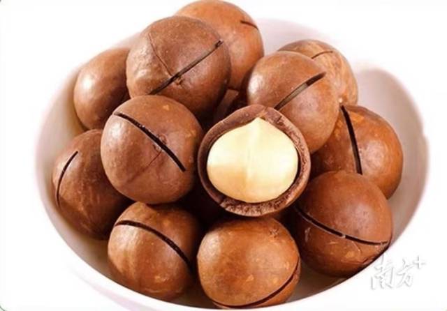 澳洲坚果营养丰富