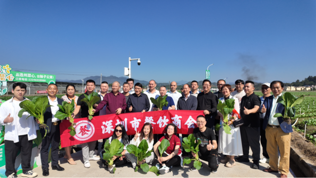 深圳市餐饮商会代表为连州菜心点赞。