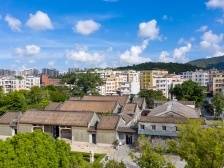 五大行动赋能“百千万工程”，珠海绘就和美乡村