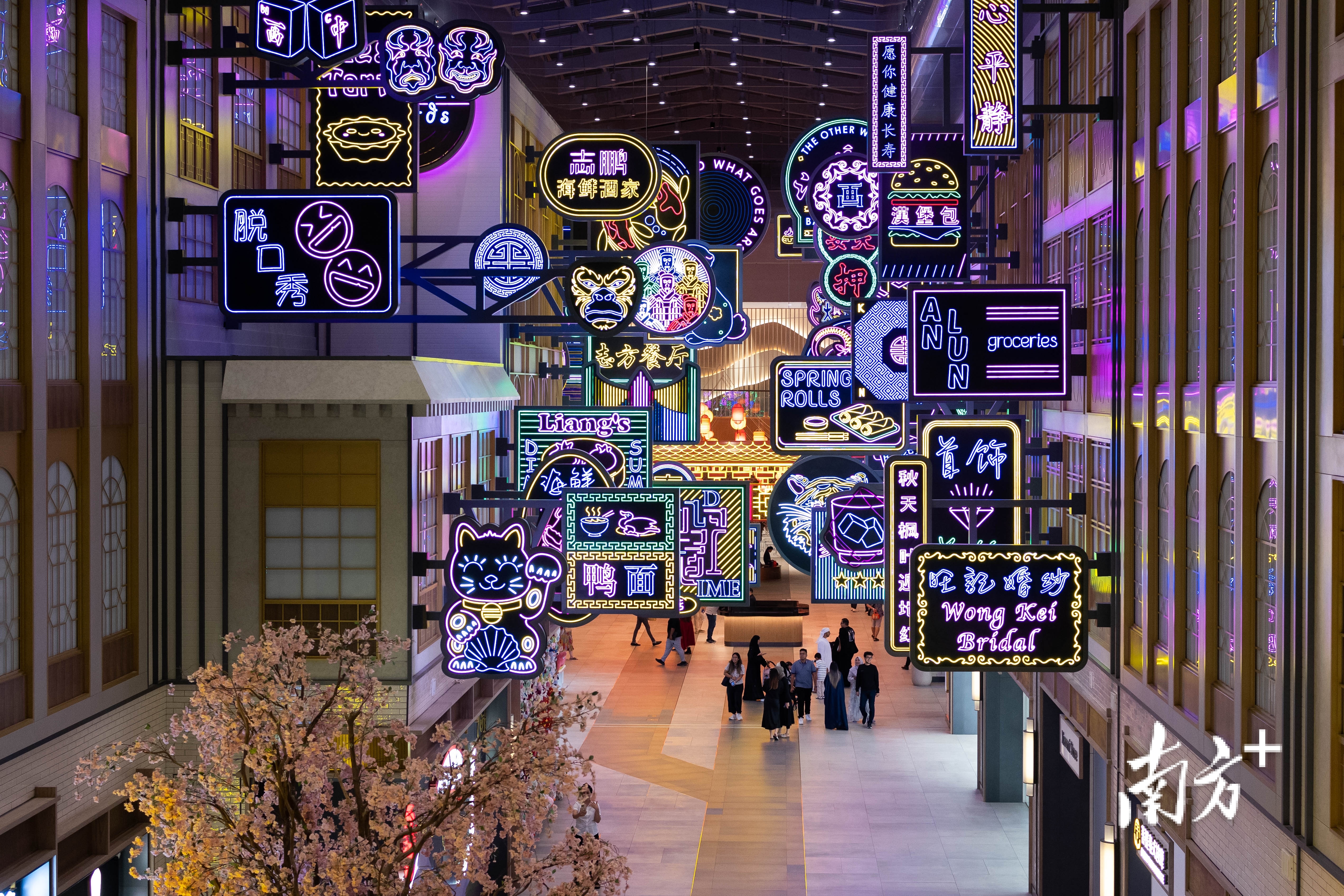 中文在中东有多“热”？！｜视界