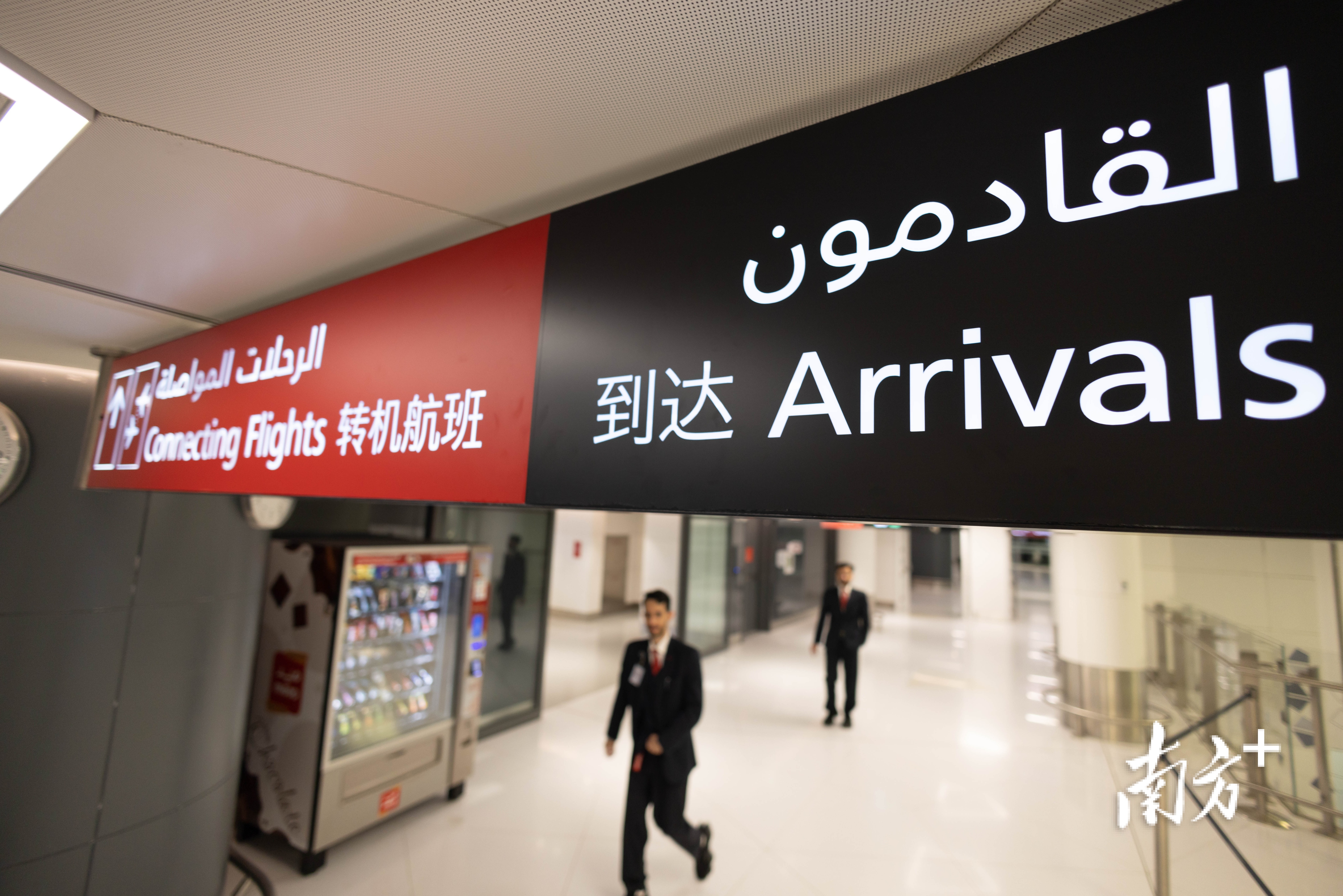 中文在中东有多“热”？！｜视界