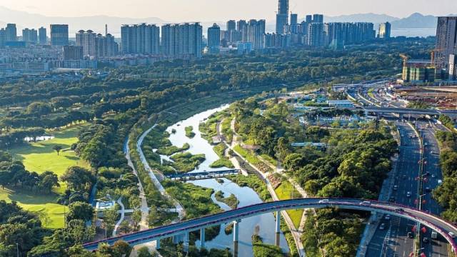 “五年百万树木”，绿色创想点亮“创新之城”