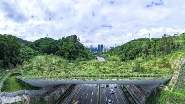 获评全国“十大” 200公里鲲鹏径火了