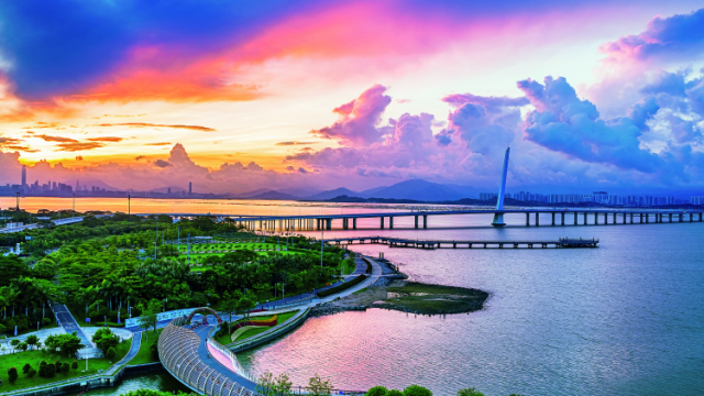 从“千园”到“一园” 长在公园里的深圳