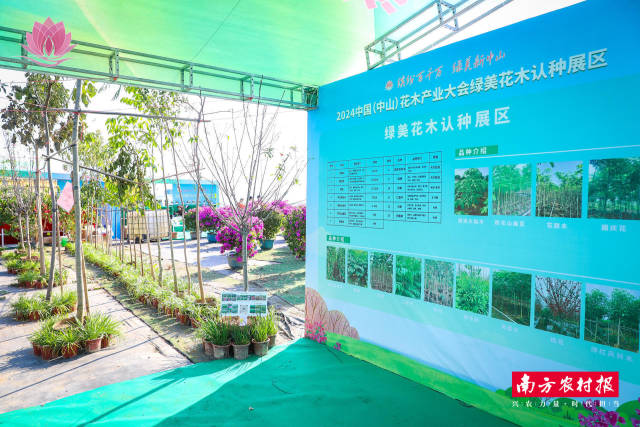 绿美花木认种展区。