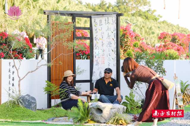 创意居家花卉展。