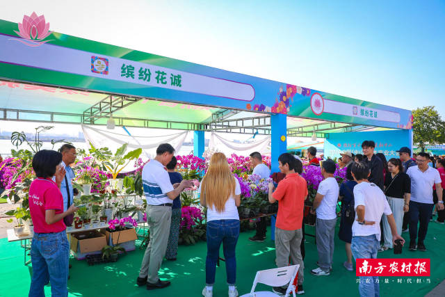 展销摊位前，看花、买花的游客人潮涌动。