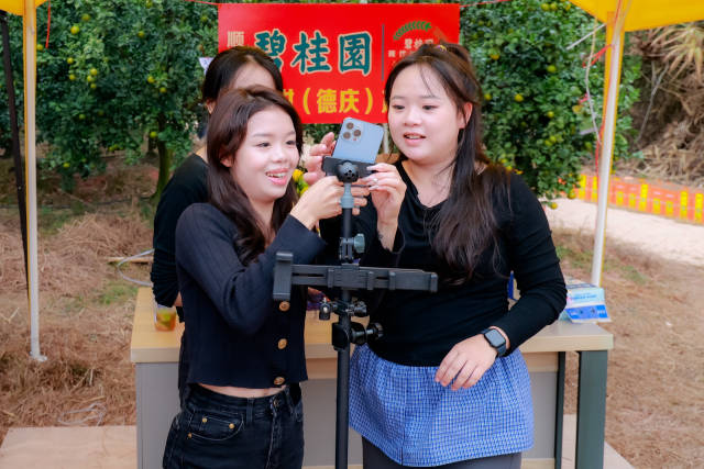 主播在果园内直播卖货