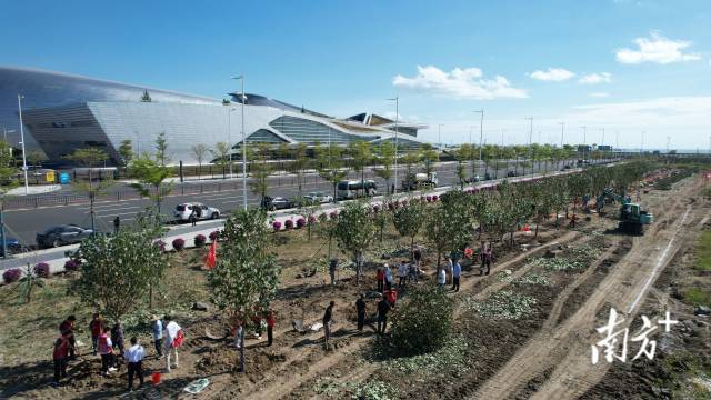 3  南方+ 谢嘉龙 拍摄