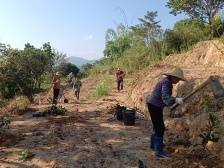 归湖镇塘埔村做优“土特产”，超百亩枇杷鼓起村民“钱袋子”丨百千万·“潮”前跑