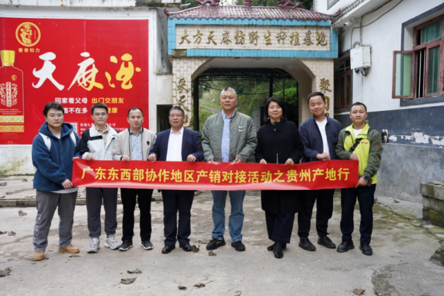 广东东西部协作地区产销对接活动之贵州产地行走进大方天麻种植基地。西部协作 广东东西部协作地区产销对接活动之贵州产地行走进大方天麻种植基地。品出