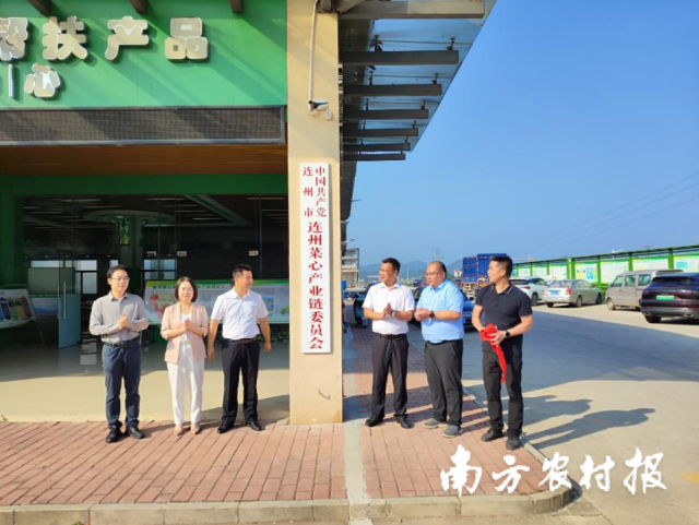 中共连州市连州菜心产业链党委正式揭牌成立。