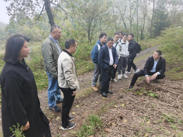 调研团一行走进大方天麻种植基地。 调研团一行走进大方天麻种植基地。
