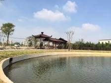 潮安区金石镇：“三不管”撂荒地，3天后成了公园｜百千万“潮”前跑