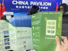 “绿能阳江”亮相《联合国气候变化框架公约》第二十九次缔约方大会