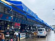 在大沥玩抖音，他们把一条鱼卖到“飞起”