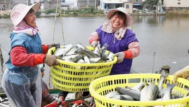 南方村落子报 常秦 拍摄