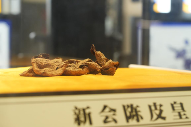 陈化年份长达95年的“新会陈皮皇”。 陈化年份长达95年的“新会陈皮皇”。