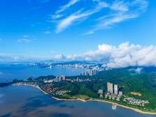 珠海发布加强森林资源管护林长令