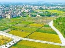 盘活“土地经” 寸土生“寸金” | 速览《南方日报·遂溪视窗》131期