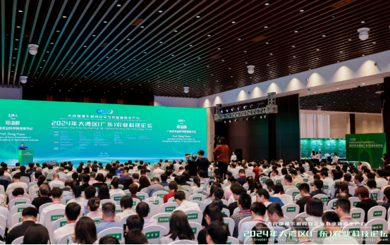 11月15日，2024大湾区（广东）农业科技论坛在广州举行。&nbsp;