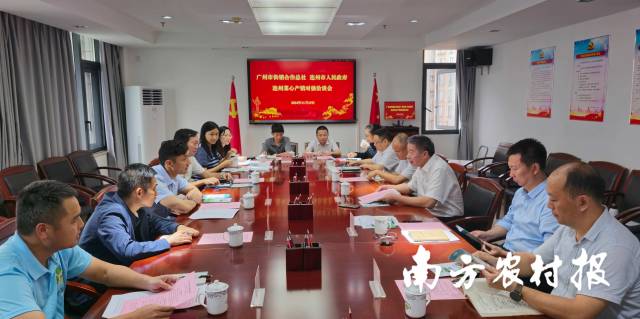 广州市供销合作总社与连州市联合举办连州菜心产销对接洽谈会现场。 