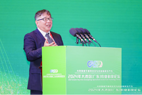 小松﨑将一教授作报告。