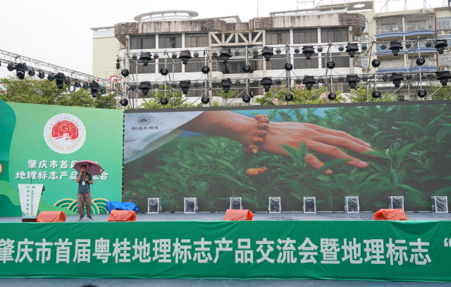 怀集高山青农产品有限公司现场推介。