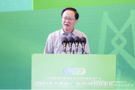 陈勇院士作报告。&nbsp;