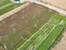 蕉岭：盘活“沉睡”资源，实现新增耕地1679.53亩|全域土地综合整治探索