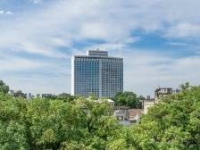 “白天鹅”：飞过不惑