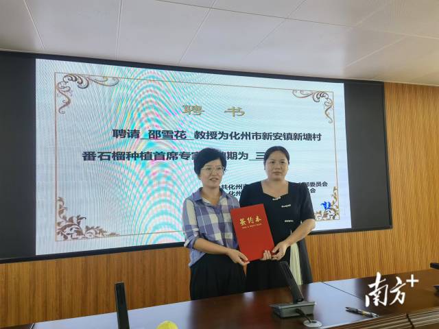新塘村聘请邵雪花为“化州市新安镇新塘村番石榴种植首席专家”