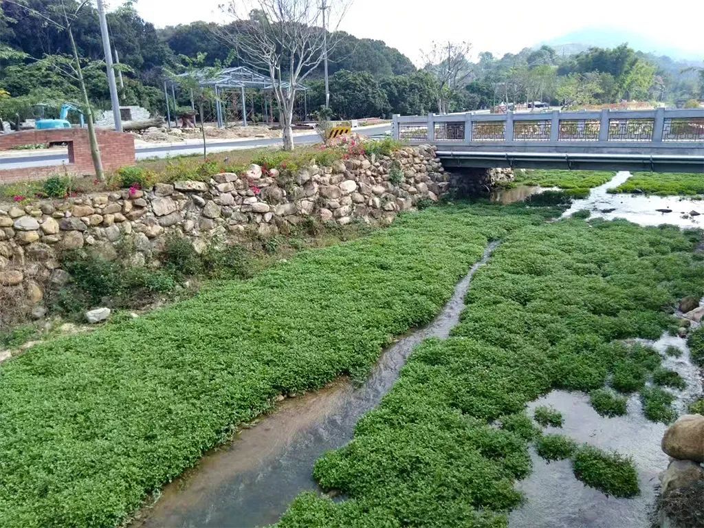 (上罗村) (上罗村)