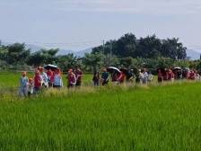 来稿 | 侨乡·善治①濠江东湖：多方动员共治理  老侨房焕新生