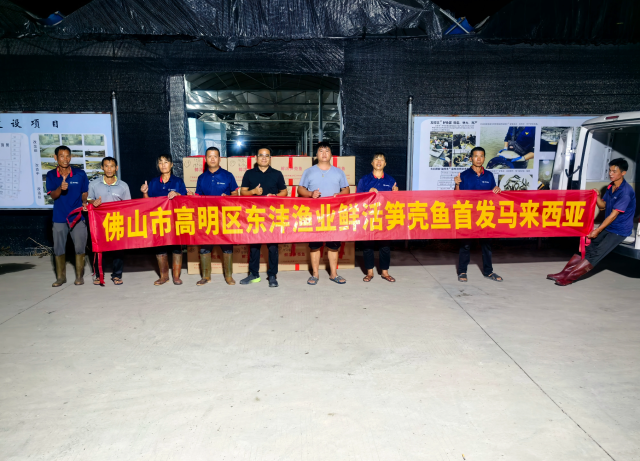 过千斤笋壳鱼整装待发准备运往马来西亚销售 过千斤笋壳鱼整装待发准备运往马来西亚销售