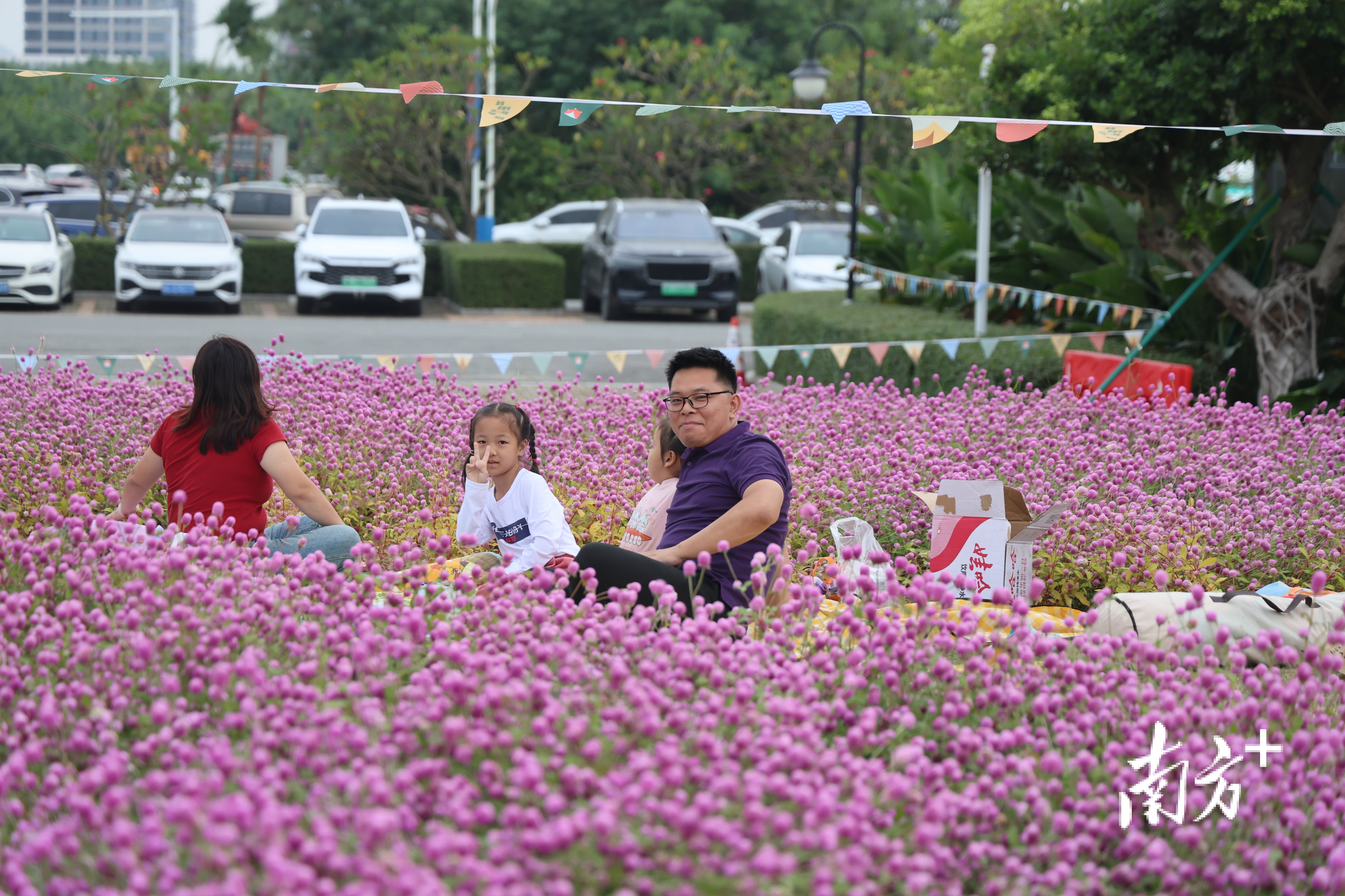 在这美丽的浪漫花海里，市民沉醉其中。