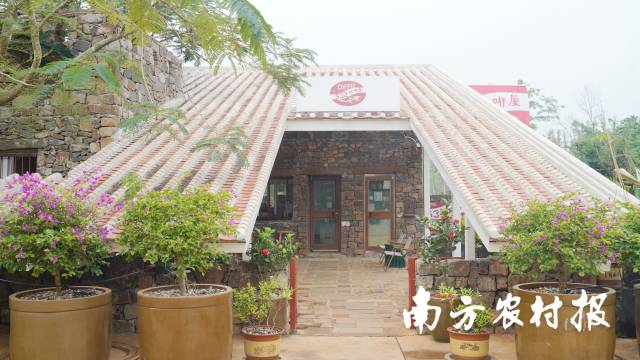足荣村532咖啡屋。