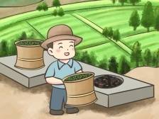 陆羽都说“真香”的茶，原来在广东这里丨漫话“百千万工程”