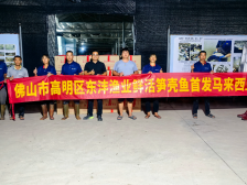 年产超500万尾，佛山高明这条笋壳鱼将“游”进水产种博会 | 水产有种