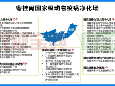 广西第一，福建第二！136个国家级猪病净化场有37个来自粤桂闽