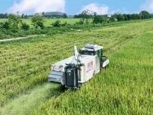 读懂“百千万工程”的南海“战法”