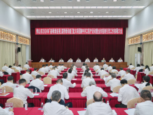 顺德大良：“全”力以赴优服务，跑出项目“加速度”