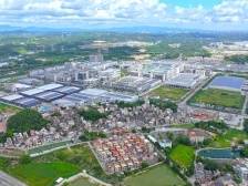 蓬江莲塘村：算好“幸福账”，走好共富路｜江门典型村调研