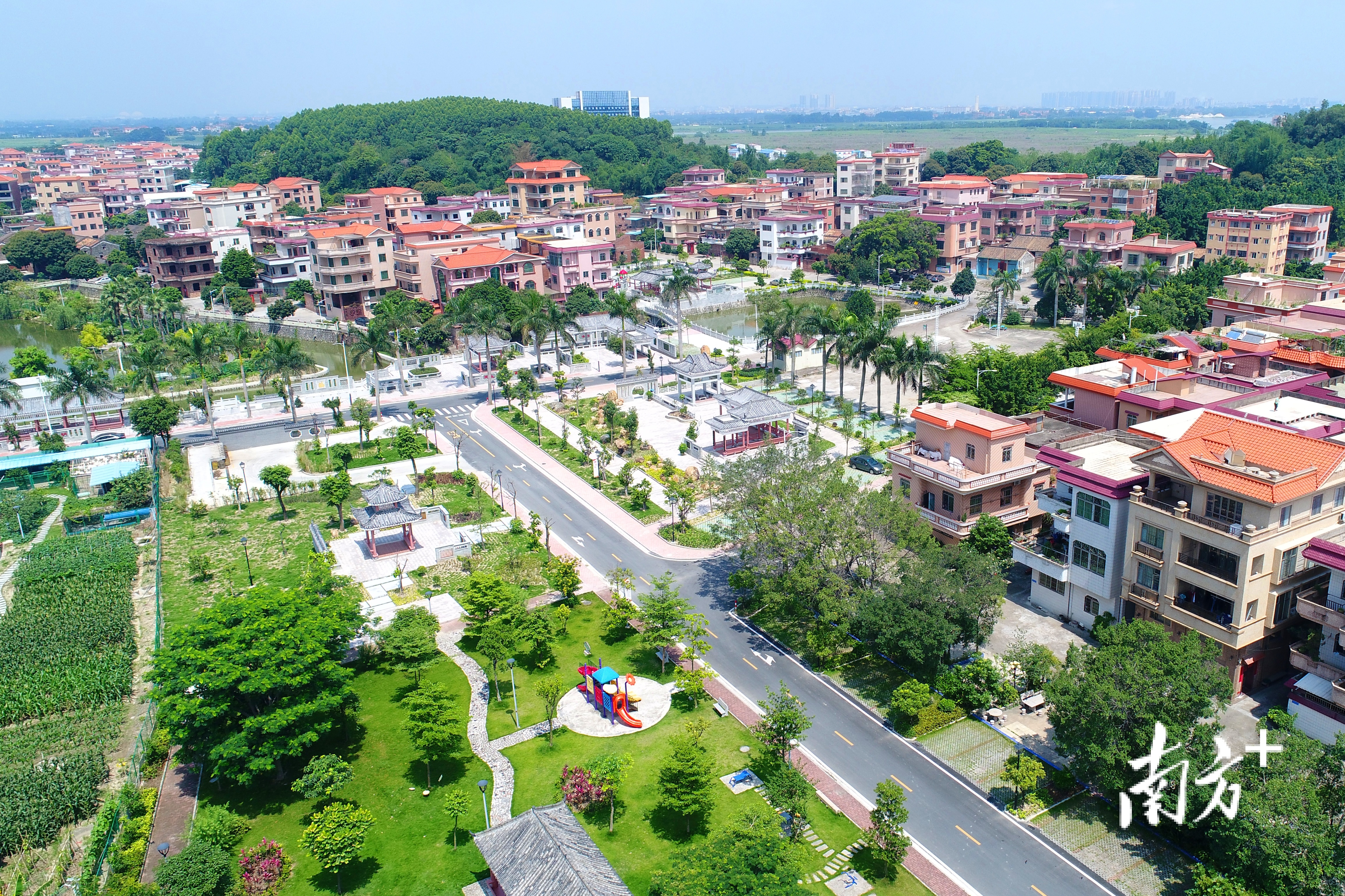 禅城农村集体经济发展较好。