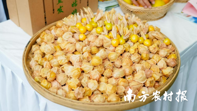 数十款“壮山农鲜”生态优质农产品跨越山海来到大湾区。 数十款“壮山农鲜”生态优质农产品跨越山海来到大湾区。