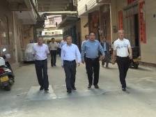 陈永禄督导“百县千镇万村高质量发展工程”建设工作