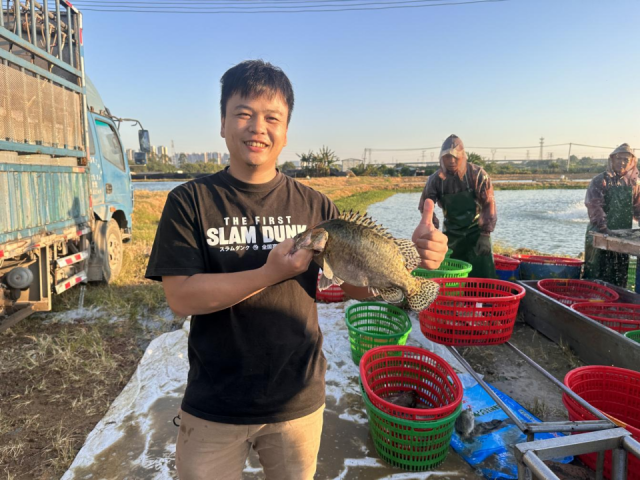 据清晰，山水天下每一10条鳜鱼就有1条来自佛山三水。