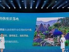 祝贺！韶关市文广旅体局两个项目在省“先锋杯”工作创新大赛中斩获佳绩